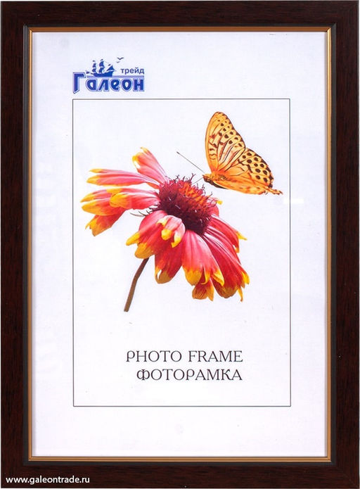 Фоторамка 25х35 / CH801-1/