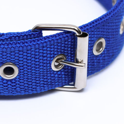 Ошейник двухслойный с вертлюгом, 58 х 3 см, полиэстер, синий - Пижон фото 3