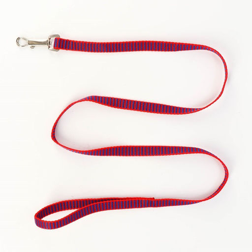 Комплект амуниции рельефный, поводок 120 х 1,5 см, ОГ 36-49 см, красно-синий - Пижон фото 6