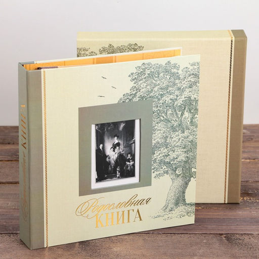 Родословная книга с рамкой под фото «Семейная», 21.5×23.7 см.