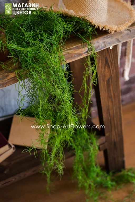 192 Тилландсия - Без тм фото 2