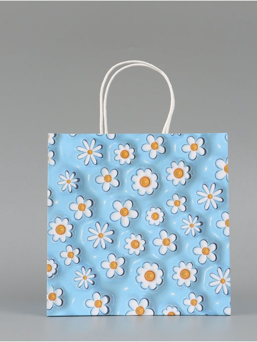Цена за 2 шт. Пакет подарочный «Ромашки», 22 × 22 × 11 см