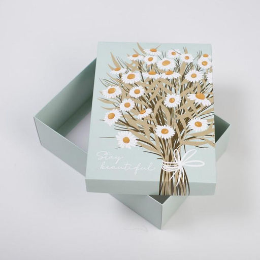 Цена за 2 шт. Коробка подарочная складная, упаковка, Ромашки, 21?15?7 см