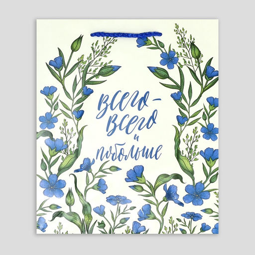 Цена за 2 шт. Пакет подарочный ламинированный, упаковка, «Всего-всего», MS 18 х 23 х 8 см