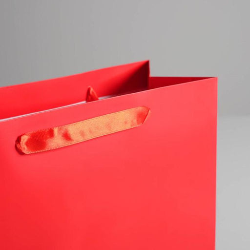 Цена за 2 шт. Пакет подарочный, упаковка, «Алый», M 25.5×30×9 см, МИКС