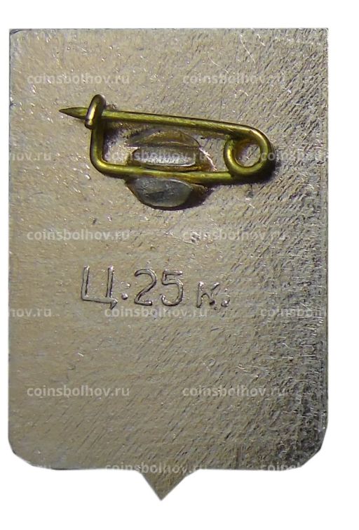 Значок Боровичи