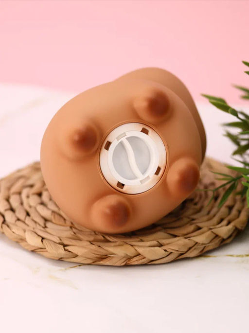 Копилка "Capybara with yummy treats", 14 см