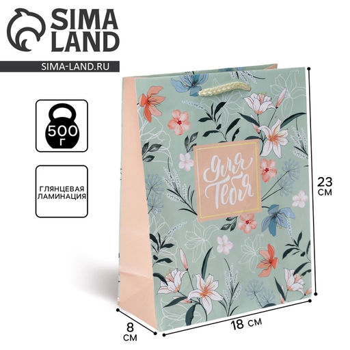 Цена за 2 шт. Пакет подарочный ламинированный, упаковка, Just for you, MS 18×23×8 см