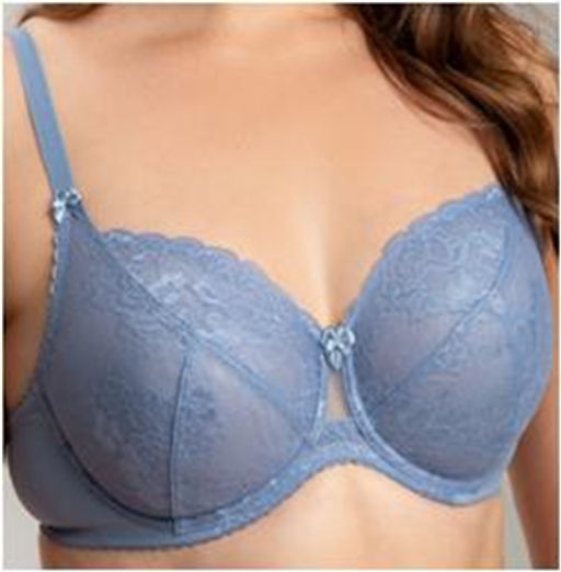 Бюстгальтер 2597 Ниагара