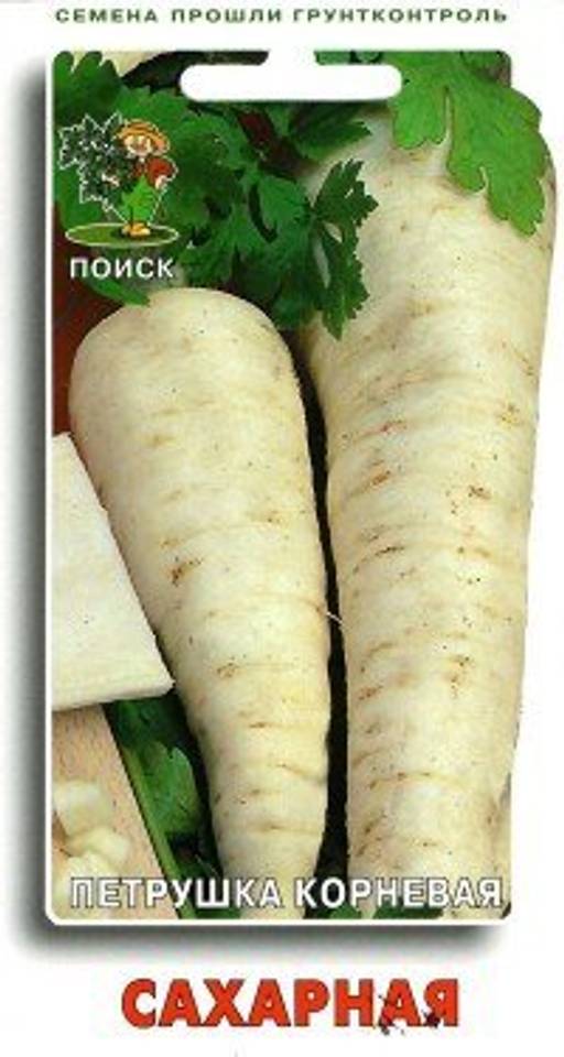 Петрушка Сахарная (ЦВ) 3гр. - Поиск фото 2