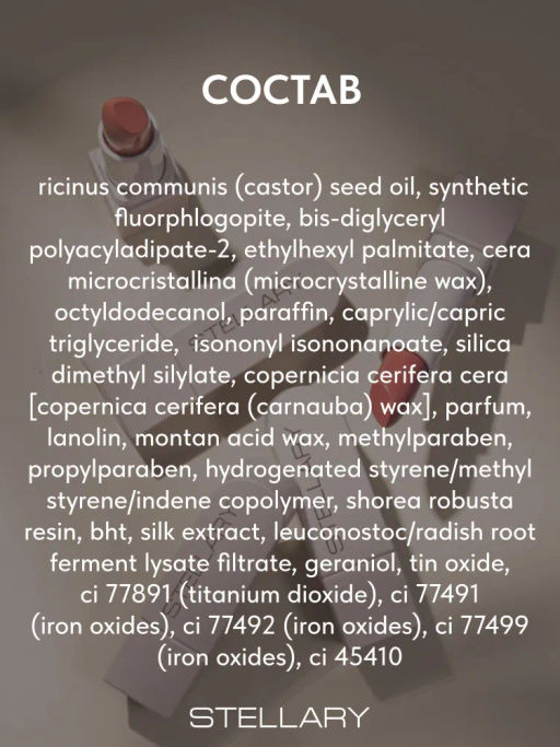 Stellary Помада для губ Устойчивая RICH NUDE тон 03 trophy wife  фото 7