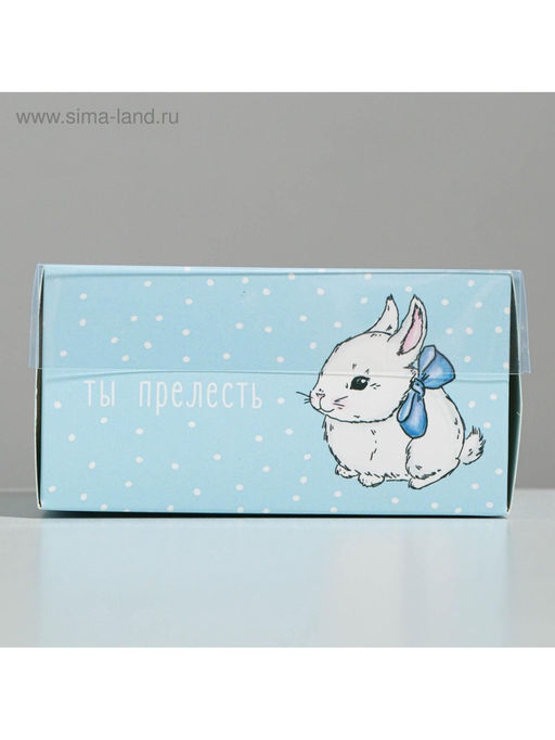 Цена за 5 шт. Коробка под бенто-торт с PVC крышкой Ты прелесть, 12 х 6 х 11,5 см - Дарите счастье фото 2