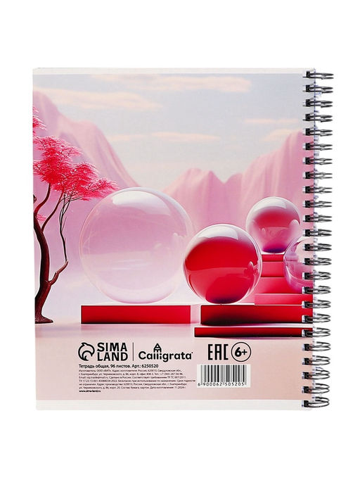 Тетрадь 96 листов в клетку, на гребне «Геометрические фигуры в природе», МИКС