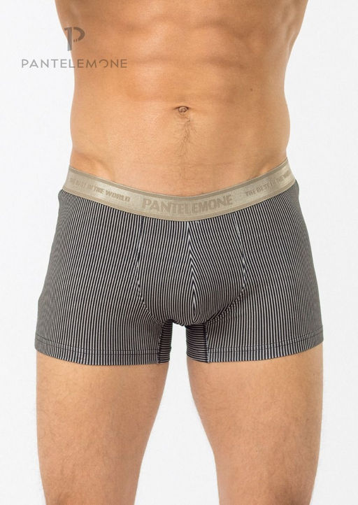 Мужские трусы-шорты PMH-1226 Полоса серая - Pantelemone фото 3