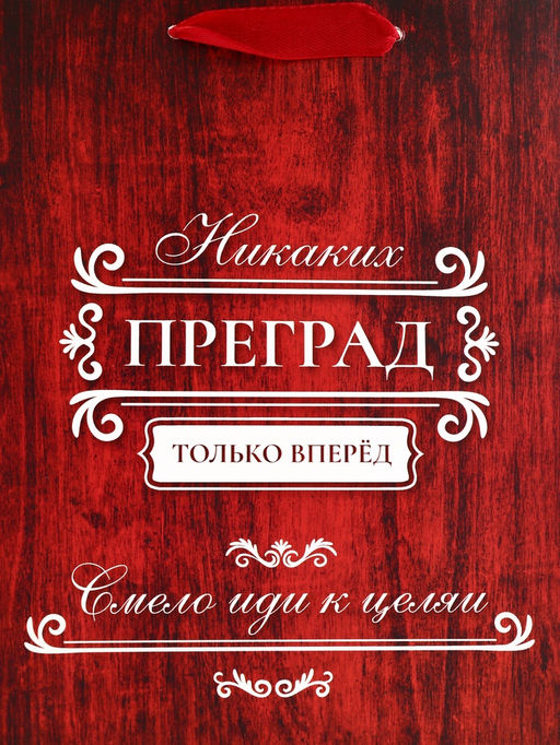 Цена за 2 шт. Пакет подарочный вертикальный Только вперёд, 18?23?10 см - UPAK LAND фото 3