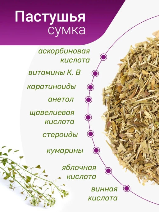 Пастушья сумка - Травы горного крыма фото 4