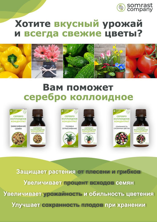 Средство для растений Серебро коллоидное концентрат Для срезанных цветов, 300 мл - Somrast Company фото 2