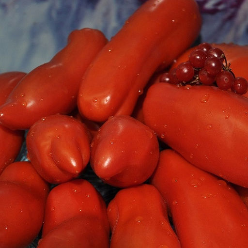 7044T Томат Любопытный Чичико 10шт