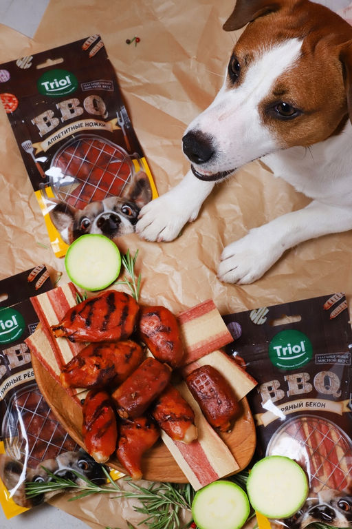 Лакомство для собак Аппетитные ножки, 105г, серия BBQ, Triol