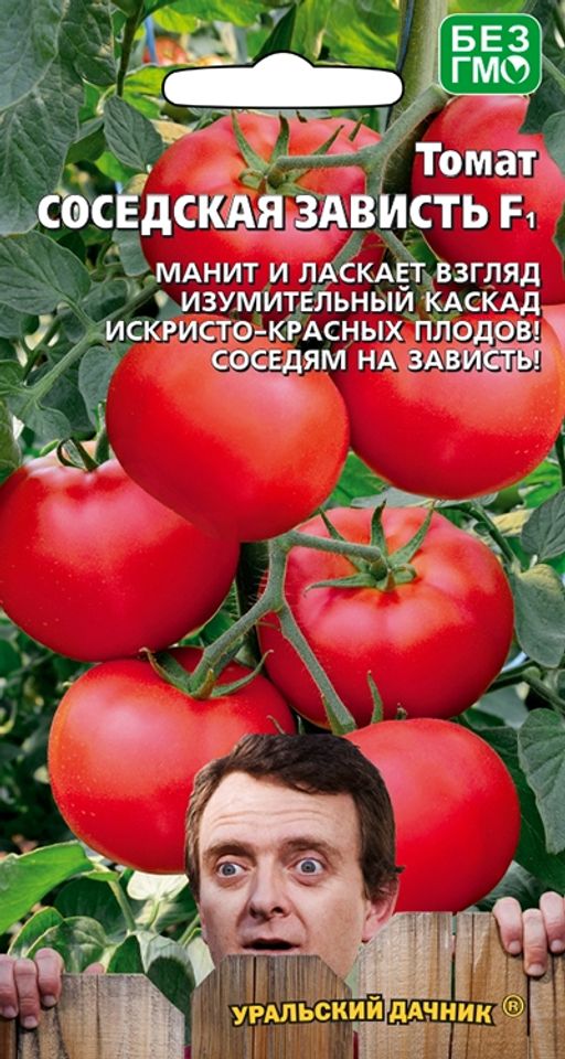 Томаты Соседская Зависть Фото