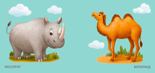 Книжка для купания. Дикие животные - Робинс фото 4