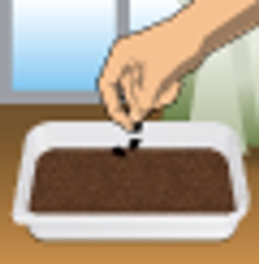 Томат Небоскреб F1 (2024) - Аэлита фото 3