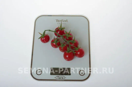 Томат Шоу Мен - Партнер фото 5