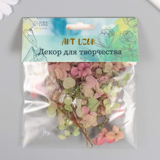 Сухоцвет «Гортензия», зелёно-красный, h=6-6.5 см
