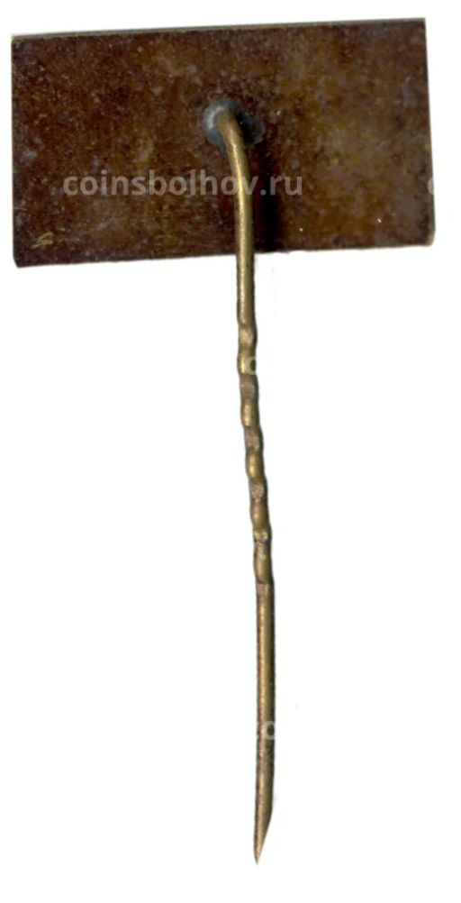 Значок Паланга