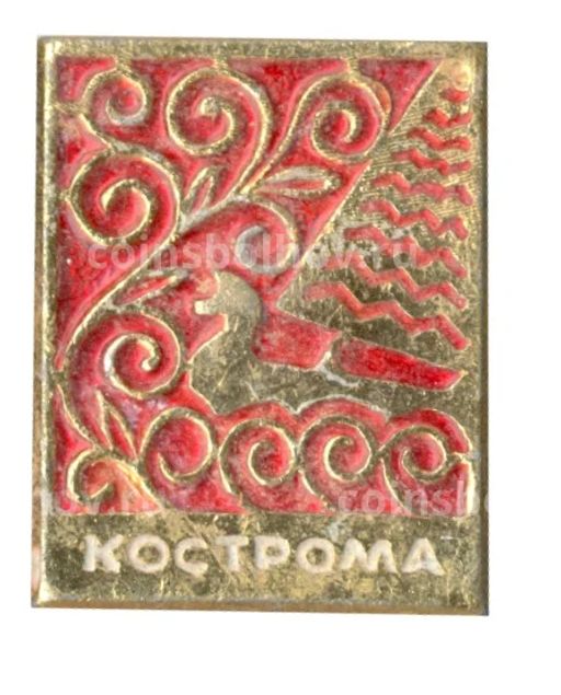 Значок Кострома