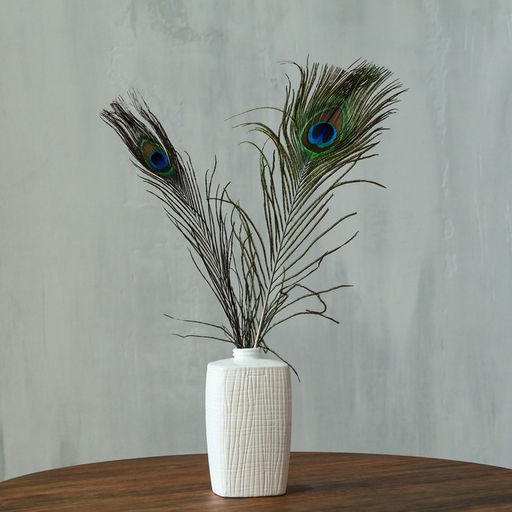 Перо павлина для декора, набор 2 шт., размер 1 шт. — от 40 до 50 см