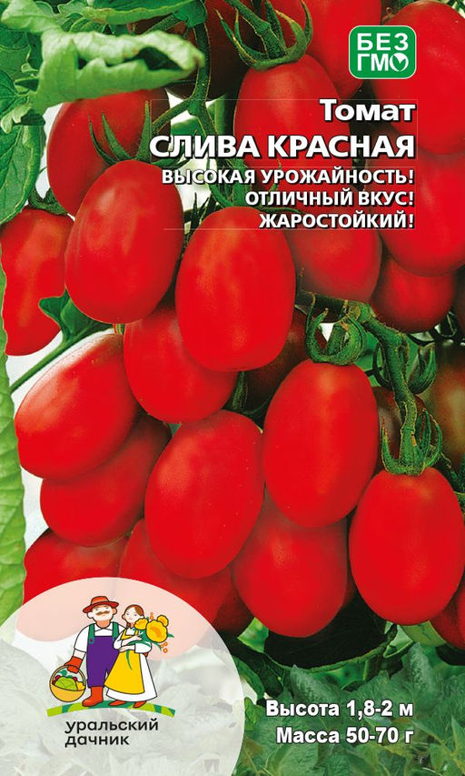 Томат СЛИВА КРАСНАЯ Высокая урожайность! Отличный вкус! Жаростойкий!
