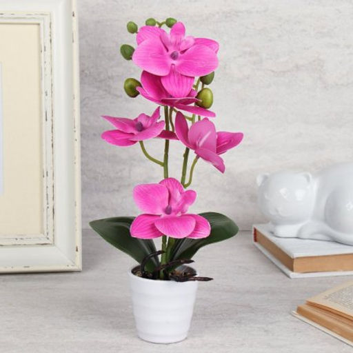 Цветочная композиция Орхидея 31 см / LM-797 /уп 72/ - Галеонтрейд фото 2