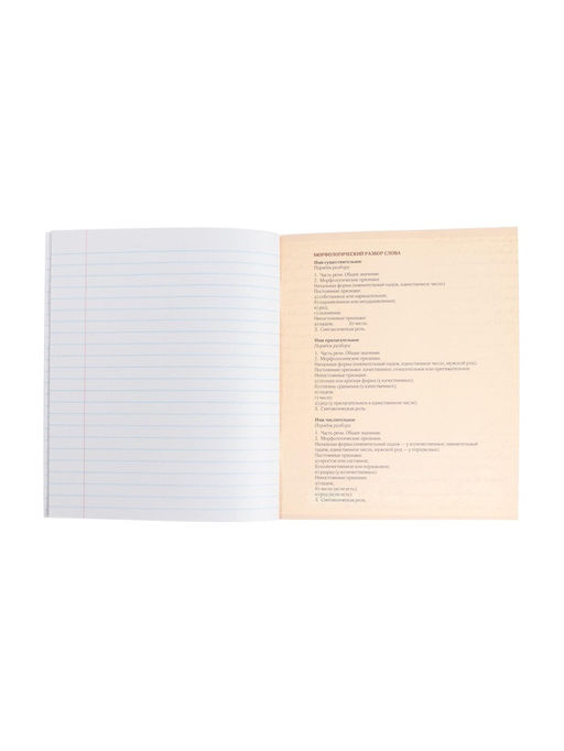 Цена за 10 шт. Предметная тетрадь по русскому языку Calligrata «Фото», 48 листов, в клетку, со справочным материалом, обложка из мелованного картона
