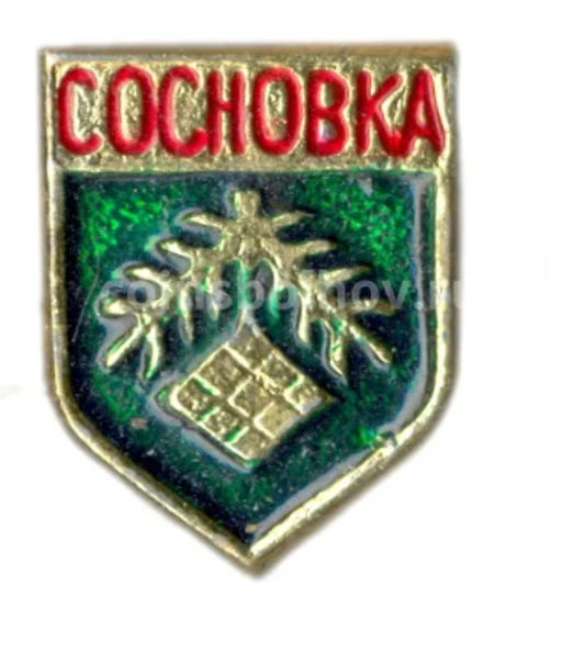 Значок Сосновка