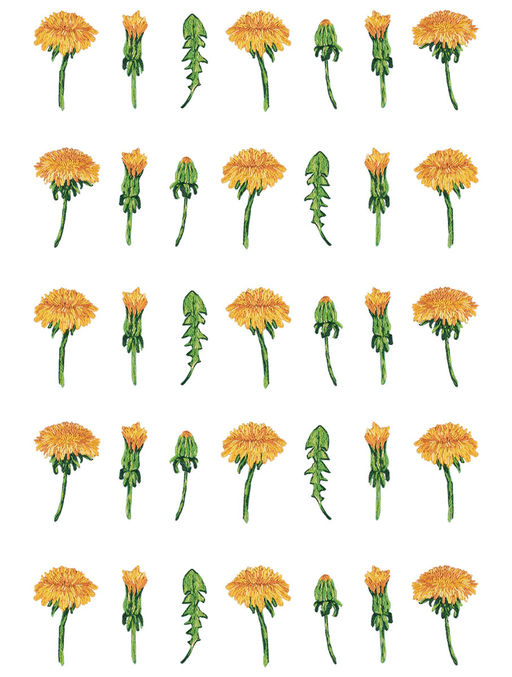 Набор для вышивания PANNA Живая картина JK-2280 Паттерн. Одуванчики 24 х 30 см