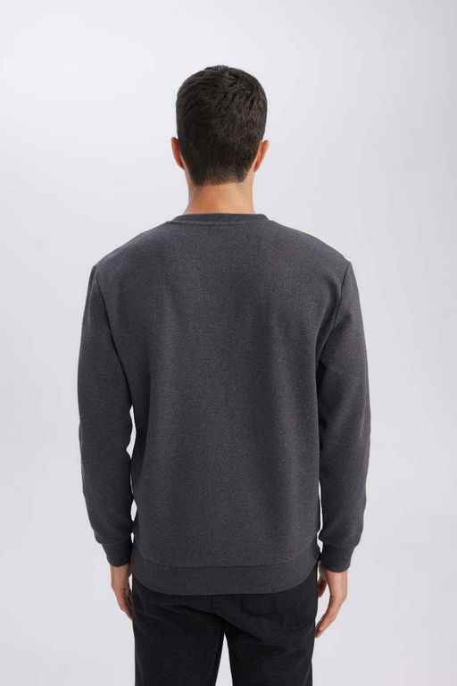 Жаккардовый свитшот стандартного кроя с круглым вырезом - Defacto фото 5