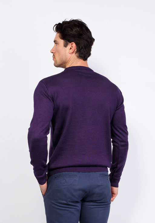 Джемпер мужской CASINO c121-016 слива  фото 6