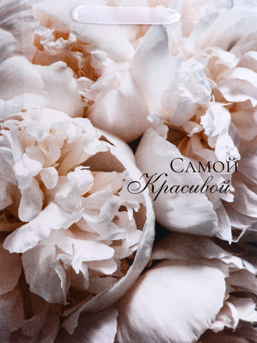 Цена за 2 шт. Пакет подарочный вертикальный Самой красивой, M, 25,5 ? 32 ? 9 см