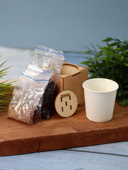 Набор для выращивания "Экокуб Magicme" - Перчик