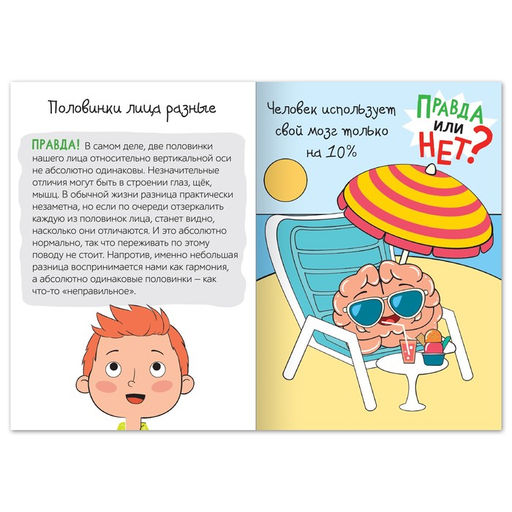 Цена за 2 шт. Обучающая книга Правда или нет? Тело человека, 44 стр. - Буква-ленд фото 2