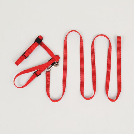 Комплект для кошек, ширина 1 см, ОШ 16,5-27 см, ОГ 21-35 см, поводок 120 см, красный - Пижон фото 7