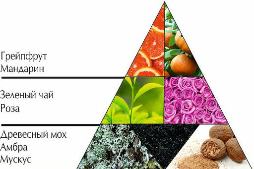 НЗ п/в "Зеленый чай / The vert" 48 мл в футляре