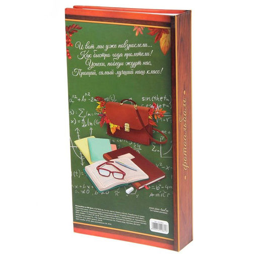 Фотоальбом на 300 фото 10×15 см «Мой школьные годы»