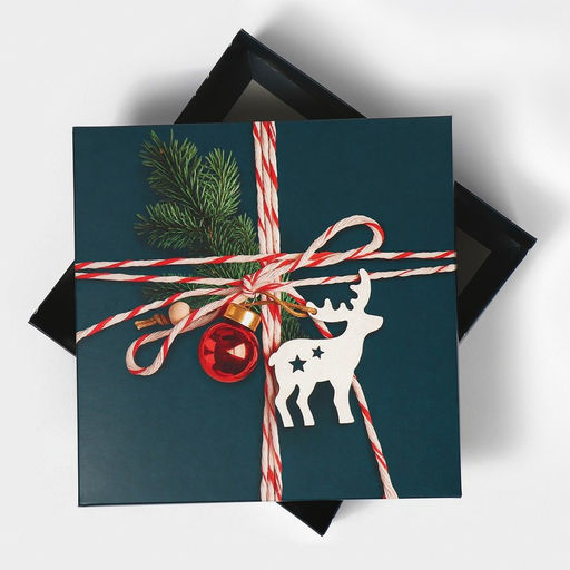 Коробка новогодняя складная «Новогодняя посылка», 26 х 26 х 8 см, Новый год