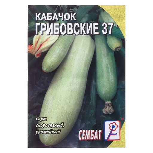 Цена за 5 шт. Семена Кабачок "Грибовские 37", 2 г