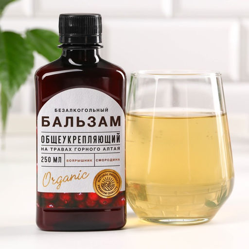 Бальзам безалкогольный на травах Общеукрепляющий: смородина, мумие, в пластиковой бутылке, 250 мл - Simaland фото 3