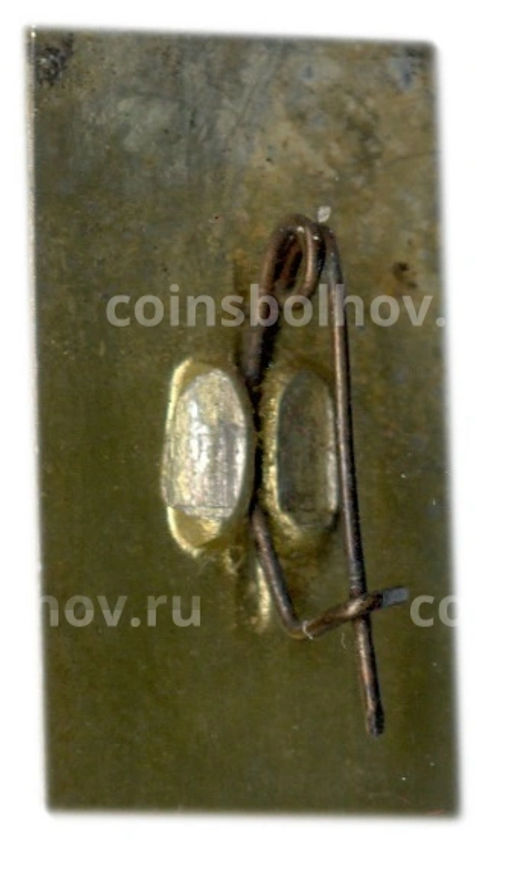 Значок Горький