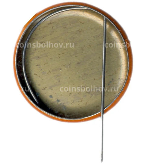 Значок Черная смородина