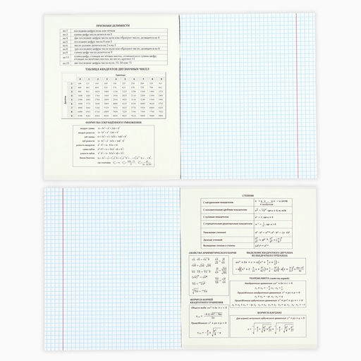 Тетради предметные, 36 л., набор из 10 шт., блок №1 Россия - Artfox study фото 3